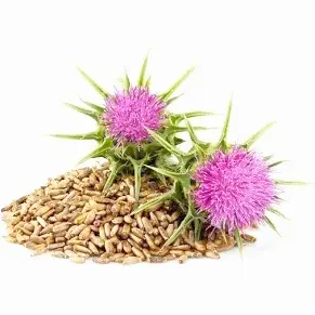 Greens Nutrity – oczyszczenie i regeneracja