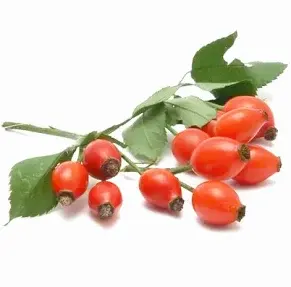 Nutrity – naturalny balans ciała i umysłu